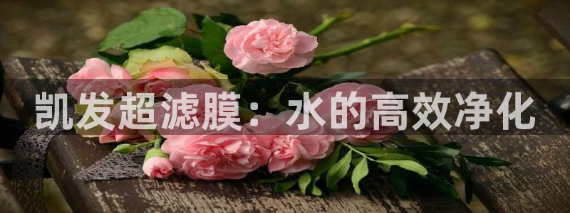 杏悦下载：凯发超滤膜：水的高效净化