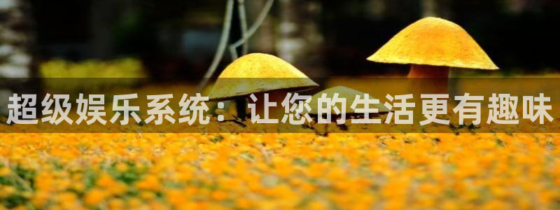 壹号app官网版下载：超级娱乐系统：让您的生活更有趣味