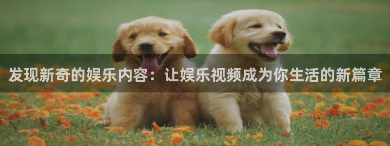 壹号大舞台怎么注册：发现新奇的娱乐内容：让娱乐视频成为你生活的新篇章