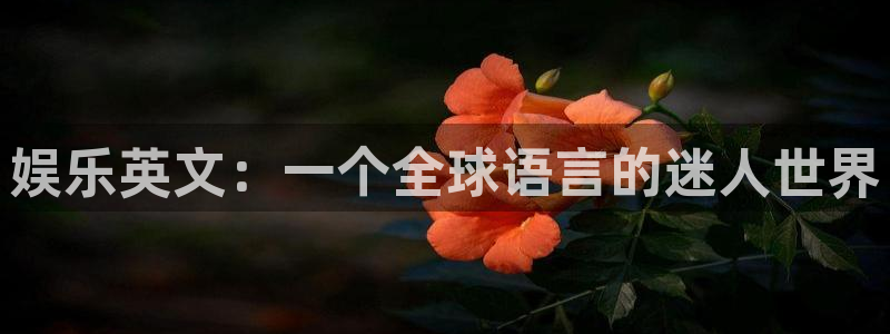 壹号下载官网入口：娱乐英文：一个全球语言的迷人世界