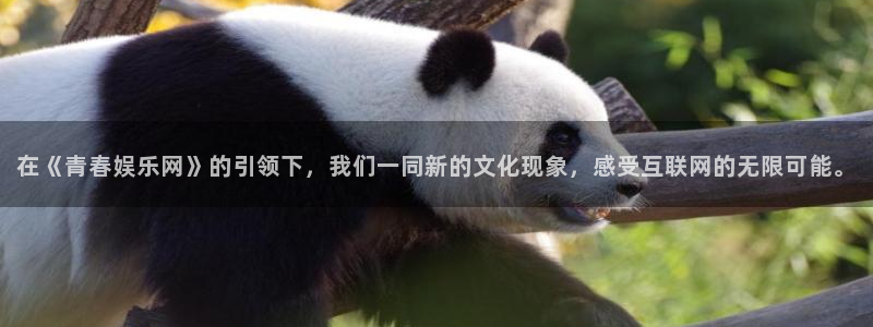 下载杏悦app：在《青春娱乐网》的引领下，我们一同新的文化现象，感受互联网的无限可能。