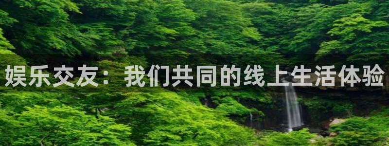壹号大舞台：娱乐交友：我们共同的线上生活体验
