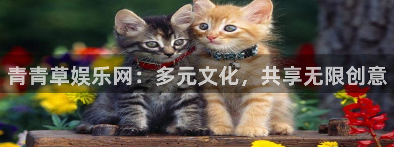 杏悦app下载安装：青青草娱乐网：多元文化，共享无限创意