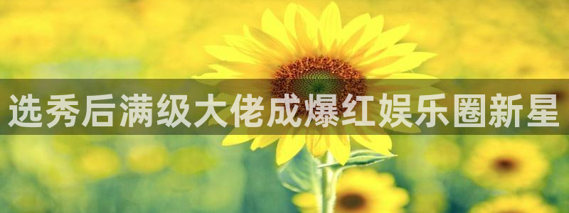 杏悦,apk：选秀后满级大佬成爆红娱乐圈新星