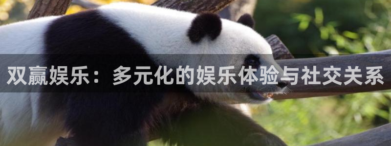 杏悦科技赋能,让平台更有趣：双赢娱乐：多元化的娱乐体验与社交关系