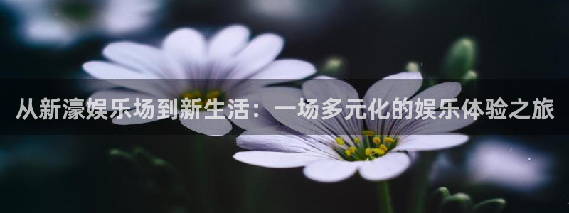 杏悦app官网下载苹果：从新濠娱乐场到新生活：一场多元化的娱乐体验之旅