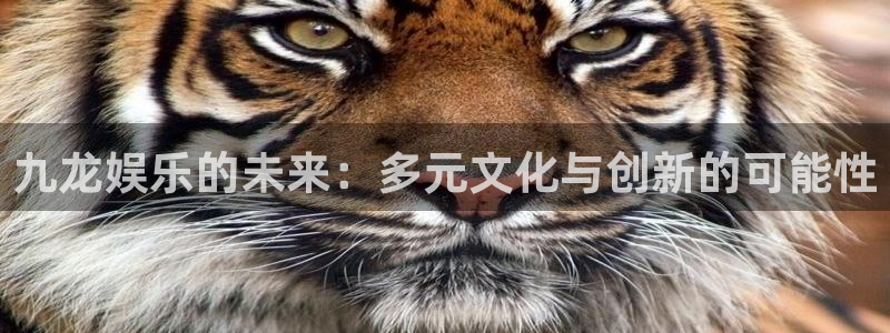 壹号大舞台：九龙娱乐的未来：多元文化与创新的可能性