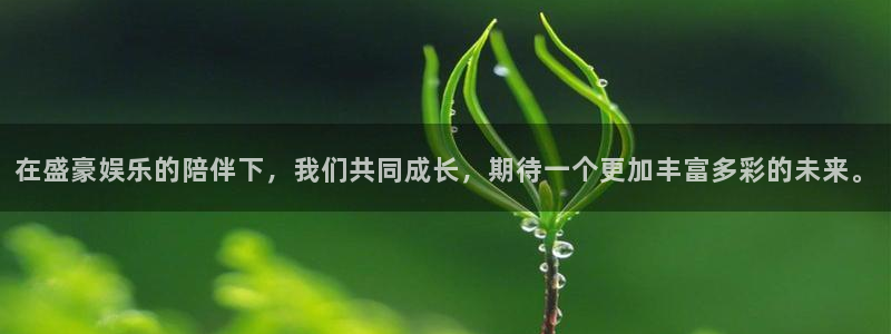 杏悦 - ng大舞台,有梦你就来：在盛豪娱乐的陪伴下，我们共同成长，期待一个更加丰富多彩的未来。