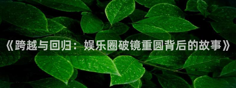 杏悦app入口：《跨越与回归：娱乐圈破镜重圆背后的故事》