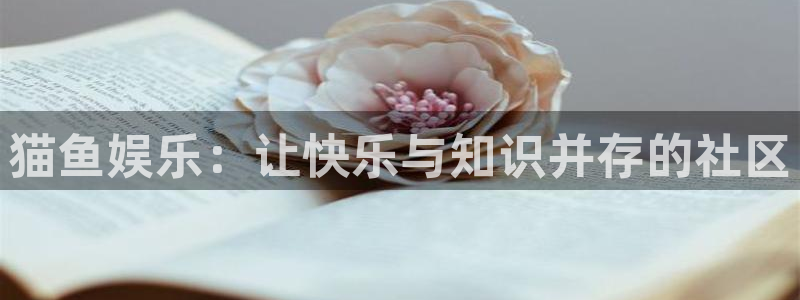 杏悦app官网：猫鱼娱乐：让快乐与知识并存的社区