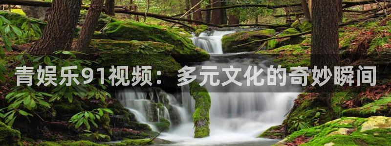 杏悦app官网下载：青娱乐91视频：多元文化的奇妙瞬间