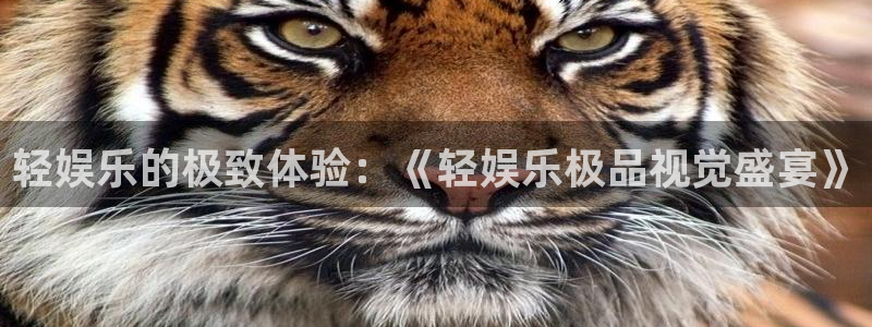 壹号app下载：轻娱乐的极致体验：《轻娱乐极品视觉盛宴》