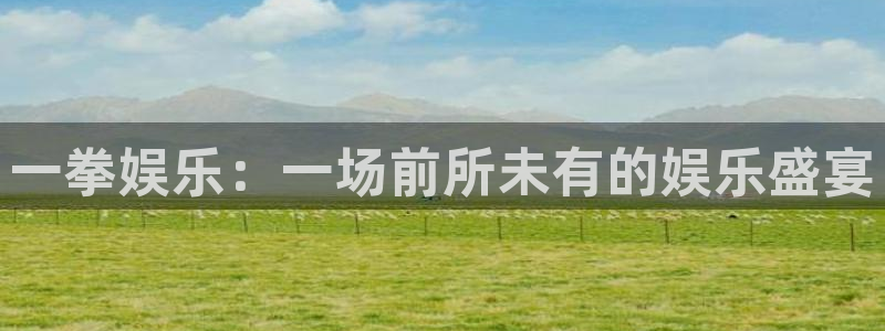 壹号大舞台28国际大舞台：一拳娱乐：一场前所未有的娱乐盛宴