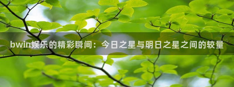 杏悦下载：bwin娱乐的精彩瞬间：今日之星与明日之星之间的较量