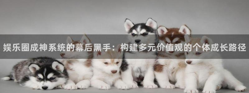 壹号大舞台：娱乐圈成神系统的幕后黑手：构建多元价值观的个体成长路径
