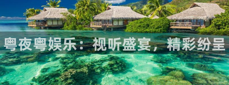 杏悦下载：粤夜粤娱乐：视听盛宴，精彩纷呈