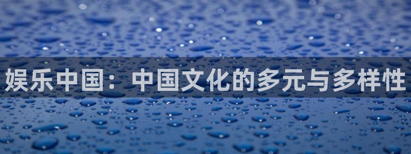 壹号玩家app下载