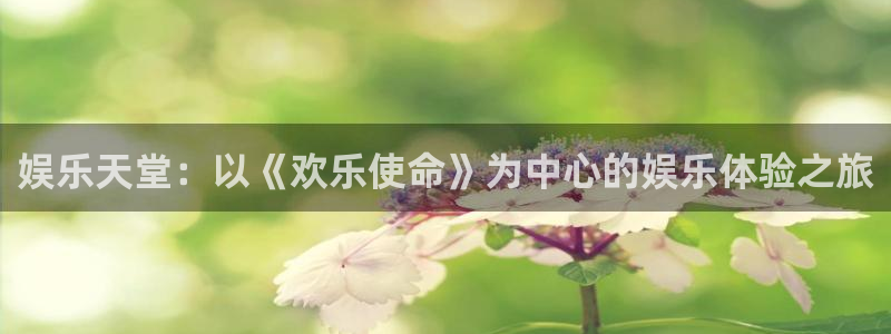 杏悦,apk.：娱乐天堂：以《欢乐使命》为中心的娱乐体验之旅