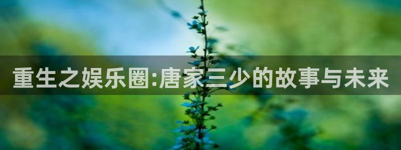 杏悦电子游戏官网：重生之娱乐圈:唐家三少的故事与未来