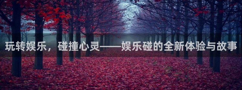 杏悦下载入口：玩转娱乐，碰撞心灵——娱乐碰的全新体验与故事