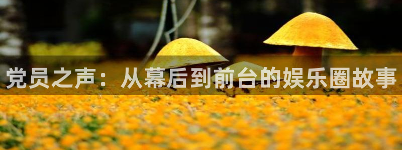 杏悦app：党员之声：从幕后到前台的娱乐圈故事