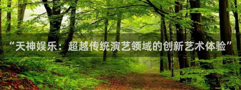 下载杏悦app：“天神娱乐：超越传统演艺领域的创新艺术体验”