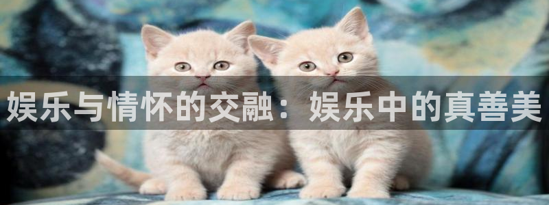 杏悦app：娱乐与情怀的交融：娱乐中的真善美