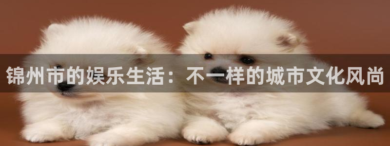 杏悦app官网下载苹果：锦州市的娱乐生活：不一样的城市文化风尚