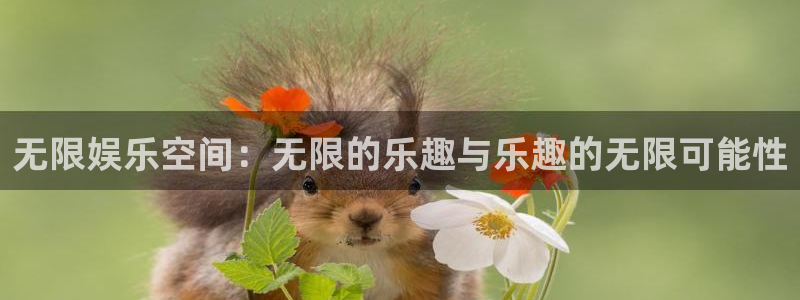 壹号大舞台官网入口：无限娱乐空间：无限的乐趣与乐趣的无限可能性